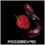 Awatar użytkownika