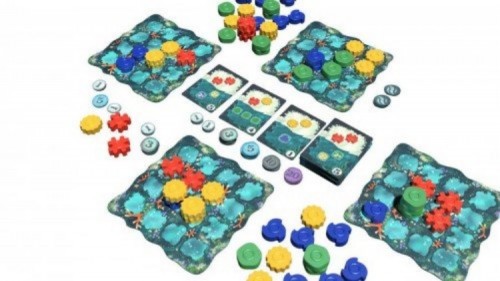 Promocja na Reef
