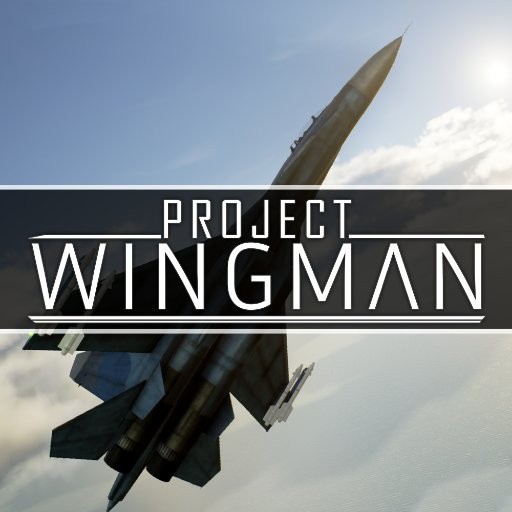 Promocja na Project Wingman