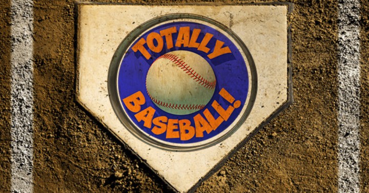 totally baseball vr