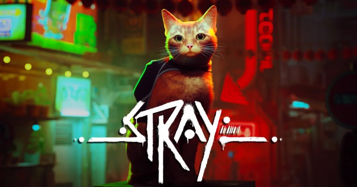 Promocja na Stray