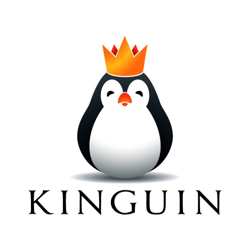 Kinguin gry PC do 10 zł