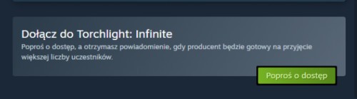 Promocja na Torchlight_ Infinite