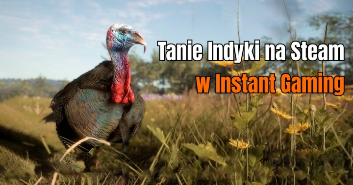 Tanie Indyki na Steam