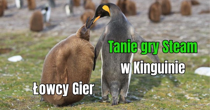Tanie gry Steam w Kinguinie