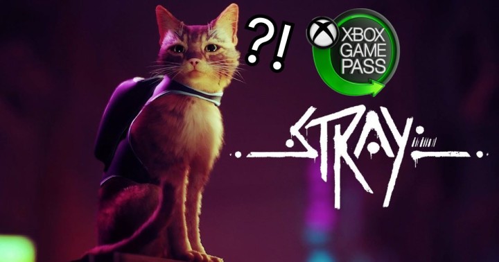 Stray w Xbox Game Pass