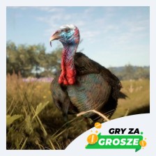 Indycza uczta w Kinguinie! Polecane gry niezależne na Steam do 5 zł