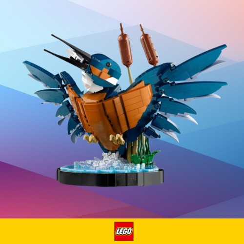 Preorder LEGO ICONS Zimorodek