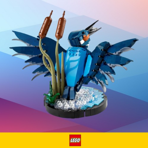 Preorder LEGO ICONS Zimorodek