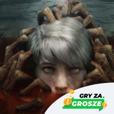Bardzo pozytywna promocja na gry Steam w Instant Gaming. Polecane tytuły na PC do 60 zł