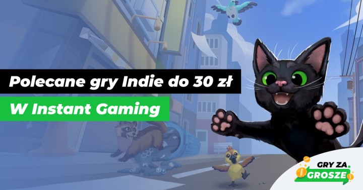 Tanie, dobre i niezależne! Polecane promocje na gry Indie na Steam (do 30 zł) w Instant Gaming