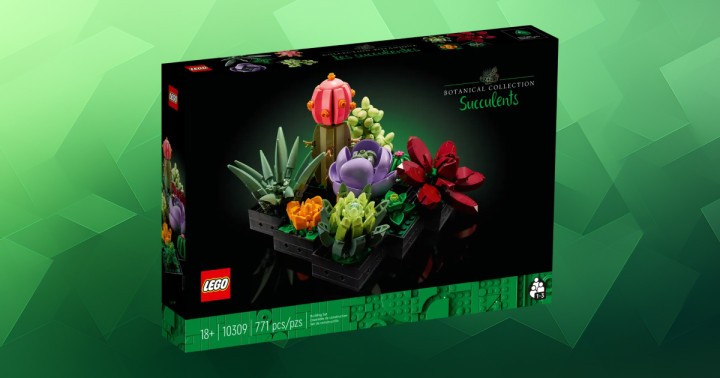 Promocja na LEGO Botanical Collection Sukulenty