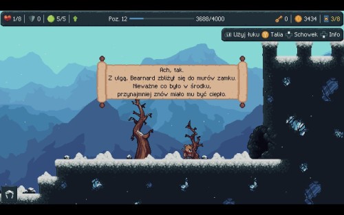 Recenzja Bearnard