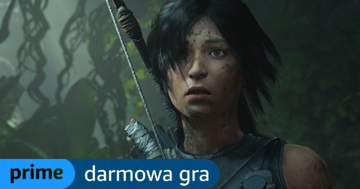 Wieczór z Larą Croft i drewnianym RPG! Aż 7 gier PC za darmo w ramach Prime Gaming