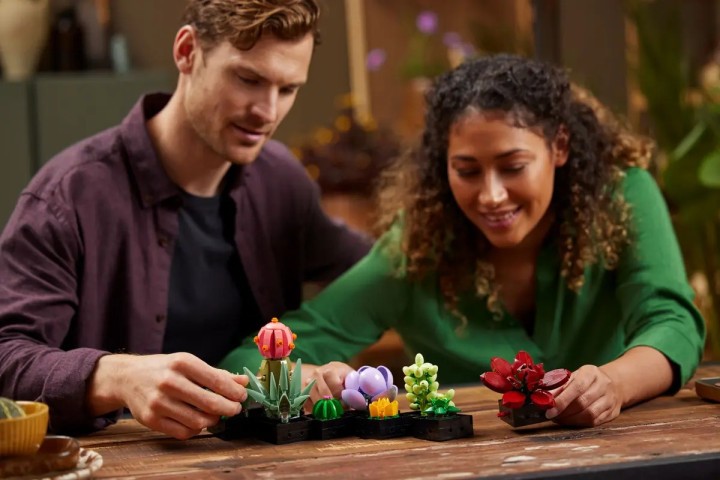 LEGO Icons Sukulenty wygląd ogólny