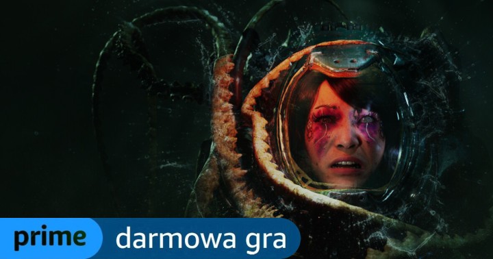 Genialne STASIS BONE TOTEM za darmo w Prime Gaming. Aż 6 nowych gier PC w usłudze!