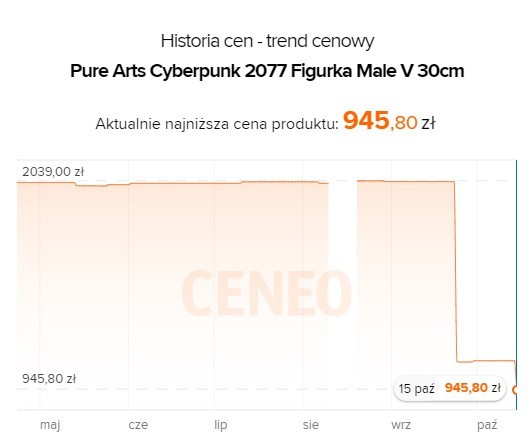 Cena Pure Arts Cyberpunk 2077 Męski V
