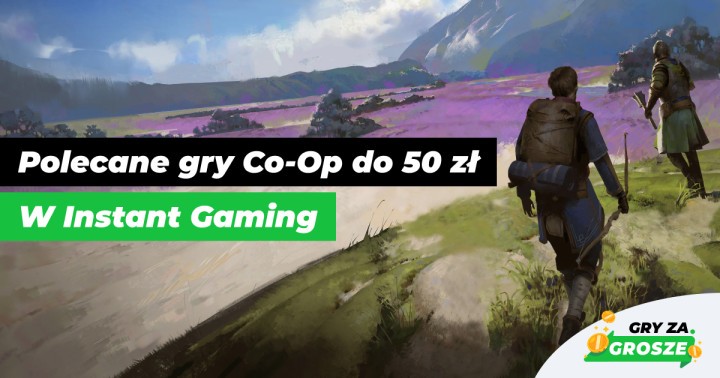 Tanie wspólne granie w Instant Gaming. Promocje na gry kooperacyjne na Steam do 50 zł!