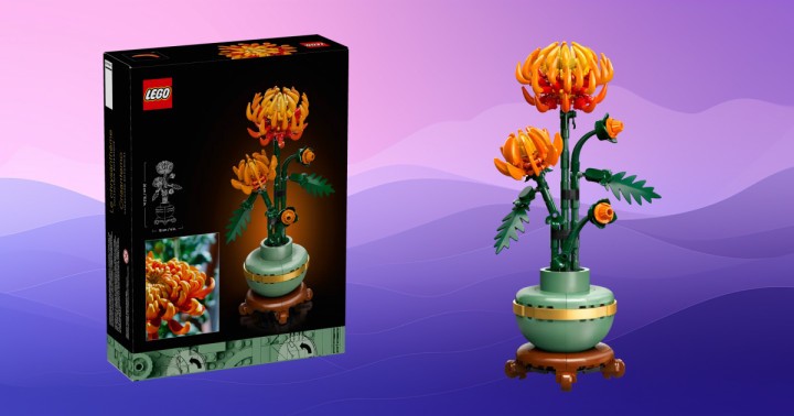 Zestaw LEGO Botanical Collection Chryzantema za 88 zł (zamiast 129,99 zł) w polskich sklepach_obrazek