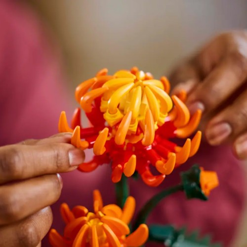 Zestaw LEGO Botanical Collection Chryzantema za 88 zł (zamiast 129,99 zł) w polskich sklepach_obrazek
