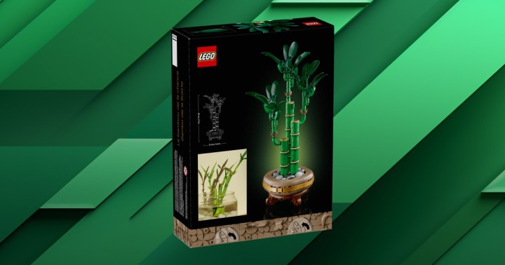 Promocja na LEGO Botanicals Dracena sandera