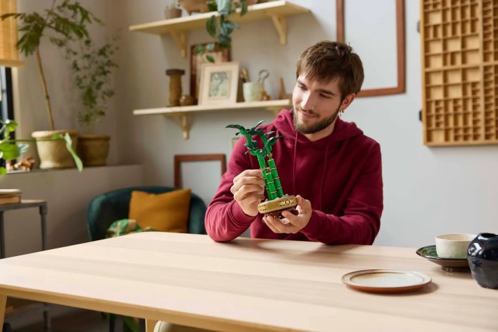 LEGO Botanicals Dracena sandera