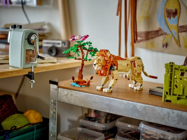 LEGO Creator 3w1 Dzikie zwięrzeta z safari lew