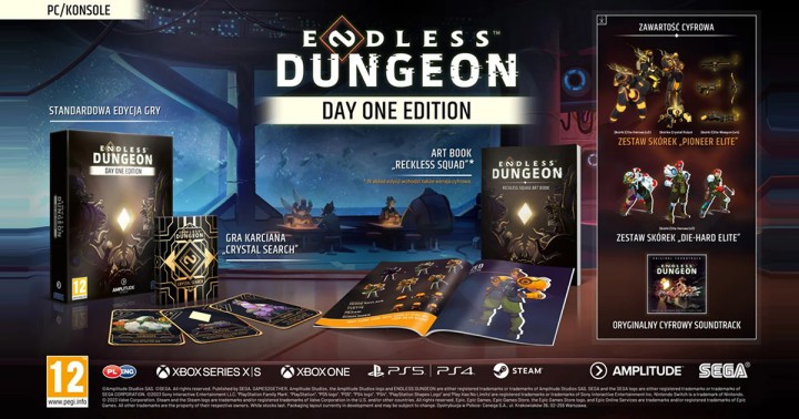 Pudełkowe Endless Dungeon na konsole + artbook + gra karciana już od 45 zł na Allegro