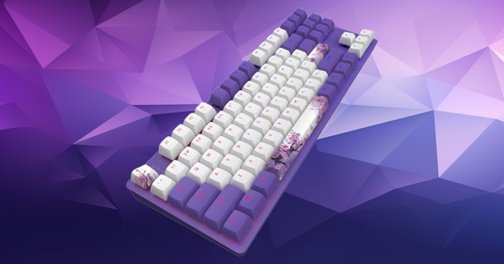 Klawiatura mechaniczna Dark Project DPO 87 Violet Horizons