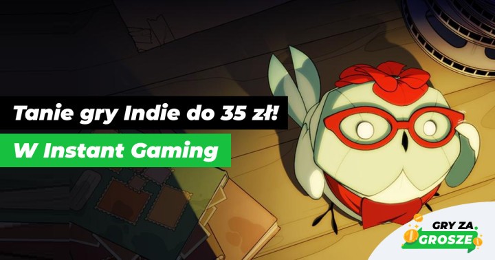 Upalne lato z indykami w Instant Gaming. Polecane oferty na tanie gry Steam do 35 zł!