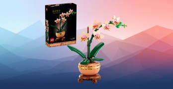 LEGO Botanicals Mała Orchidea