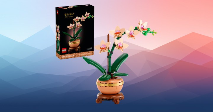 LEGO Botanicals Mała Orchidea